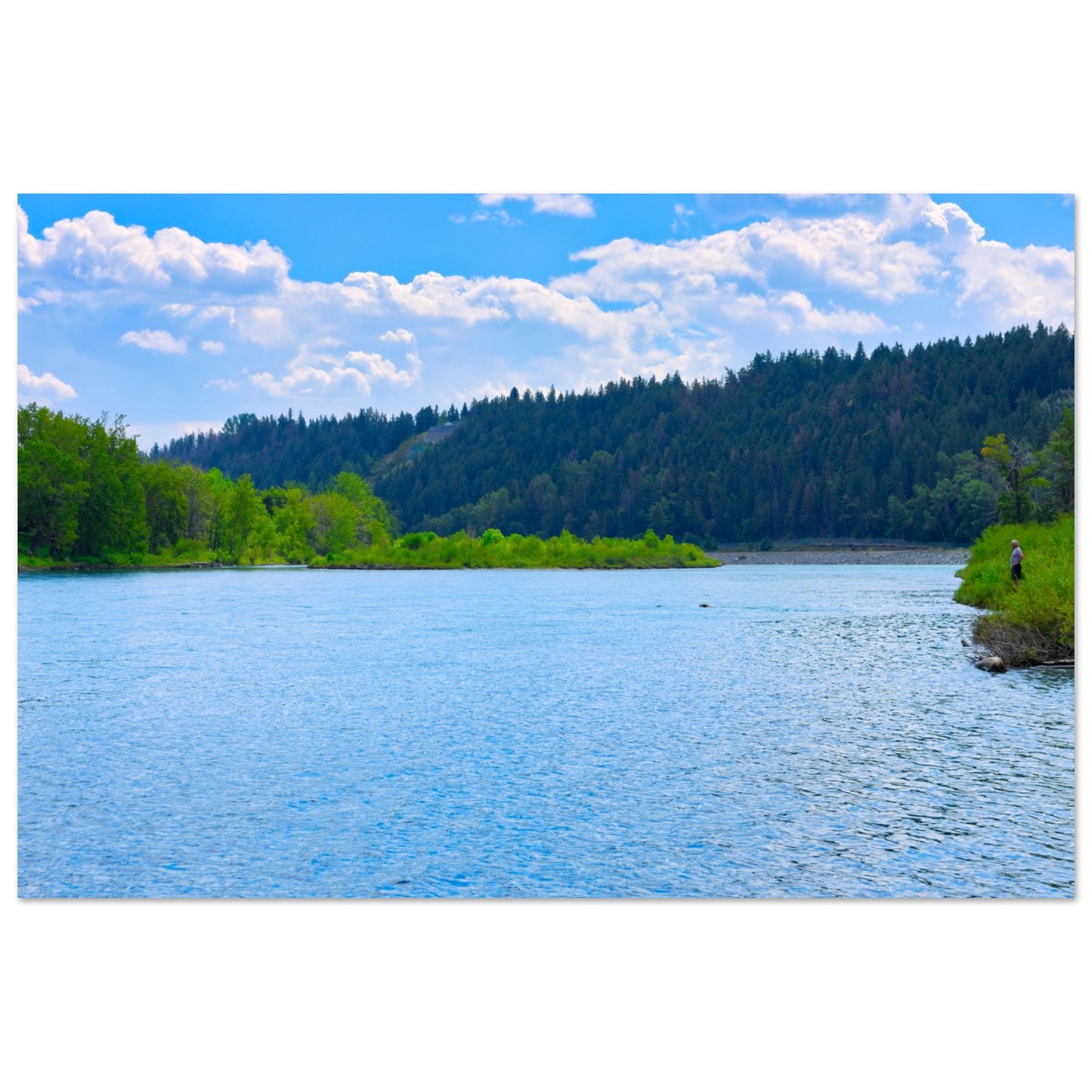 d576bba3-2577-45ba-9276-6078b4f3eea1