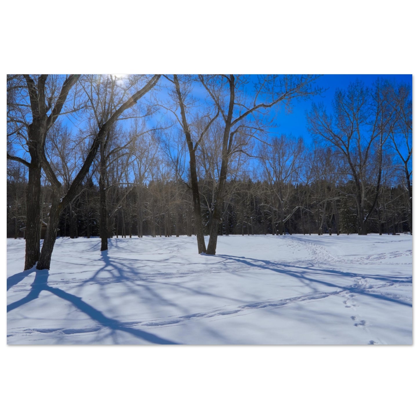 d5ac9933-3c89-41d5-b7e7-b4fd3090711a