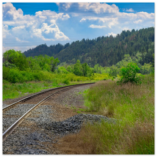 d65702f0-4f82-44e6-bd8a-1d1d0ba856bd