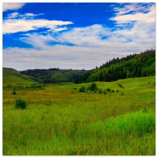 d70ba412-c3d3-49ee-8f58-72eb41358c6c