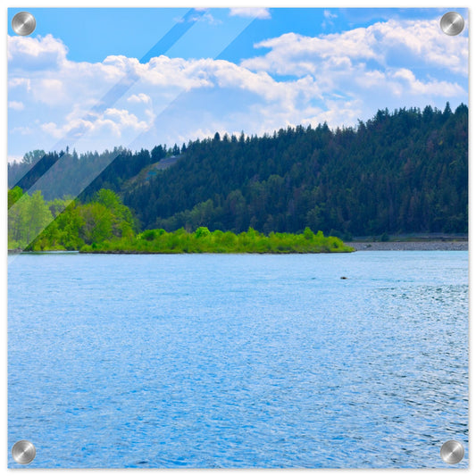 d7e685bb-bb71-4fbd-a1aa-45ca7a778cf9