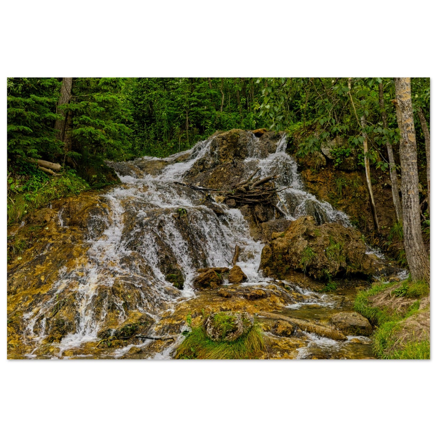 d8ef1123-eabb-430f-835e-8e6e42b71bb5