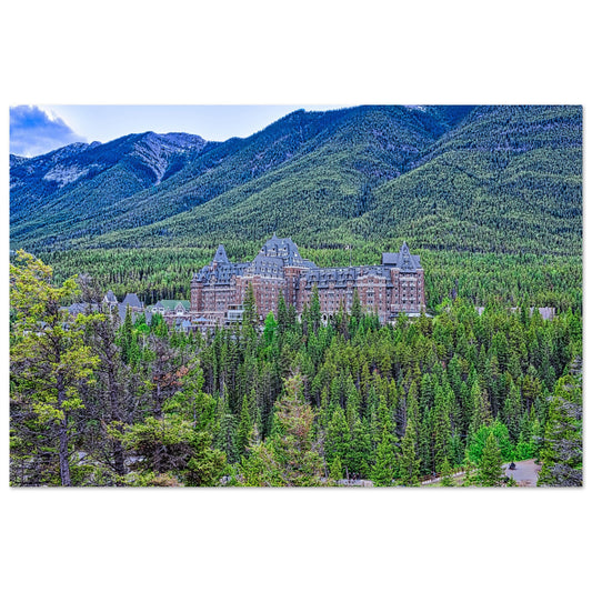 d9d2e9ed-f54a-47a6-b600-4aa9344d4181