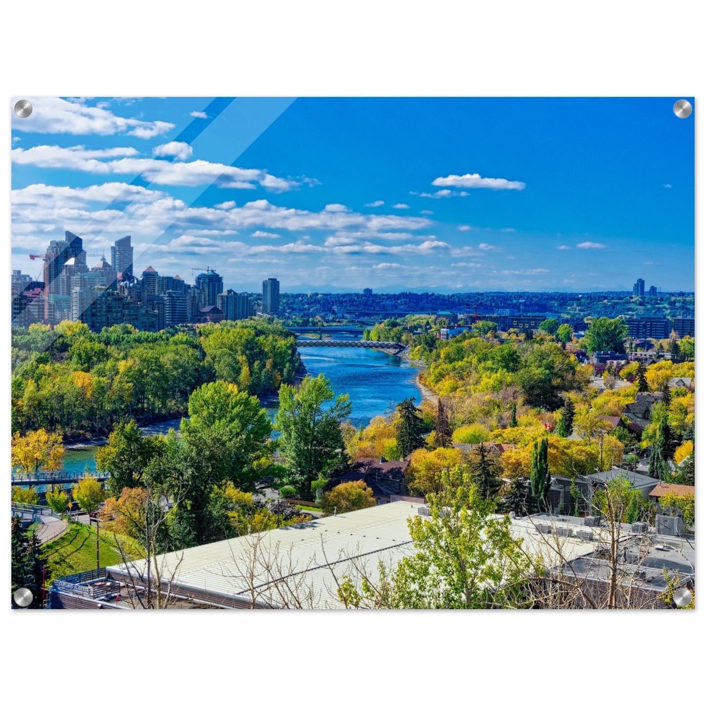Acrylic Print - Bow River Peace Bridge McHugh Bluff HDR