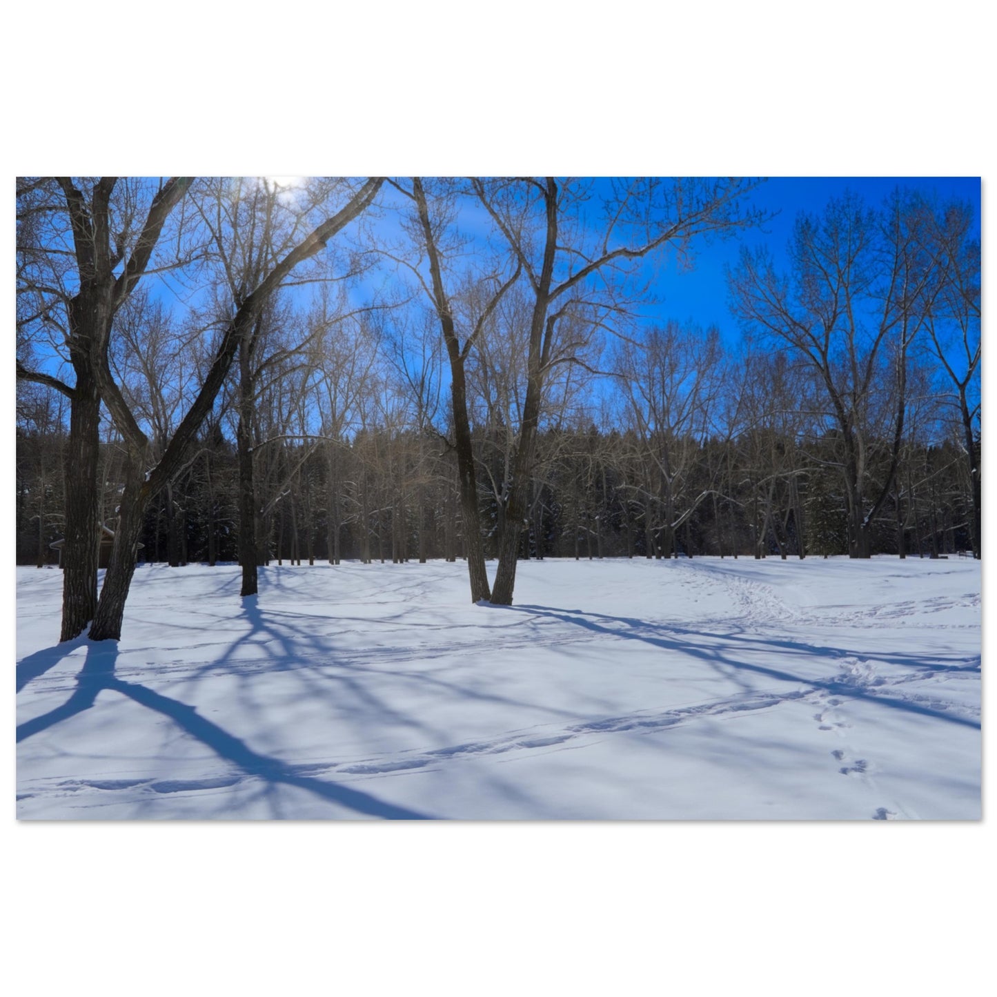 e0790765-08cb-4d53-8326-c2193a2380d2