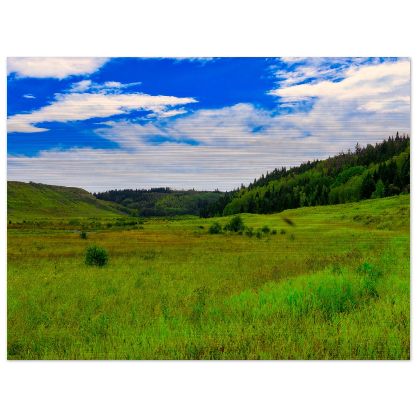 e173e225-c30e-4974-ae12-4cb07938322d