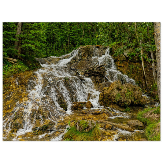 e28043bc-7d9f-46ac-a8bc-d21559d82c66