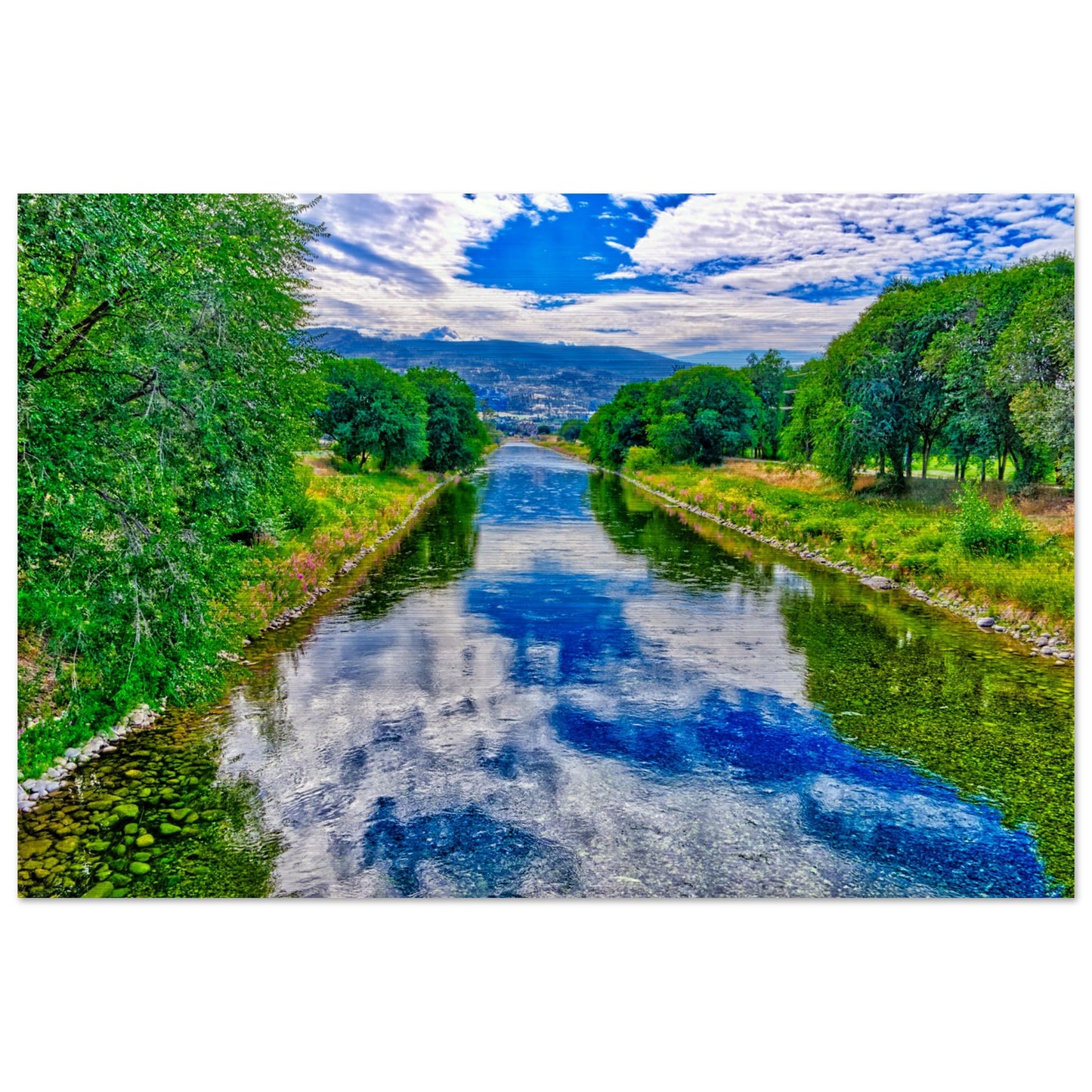 e78a7244-2be8-44c4-9c11-3100ace48802