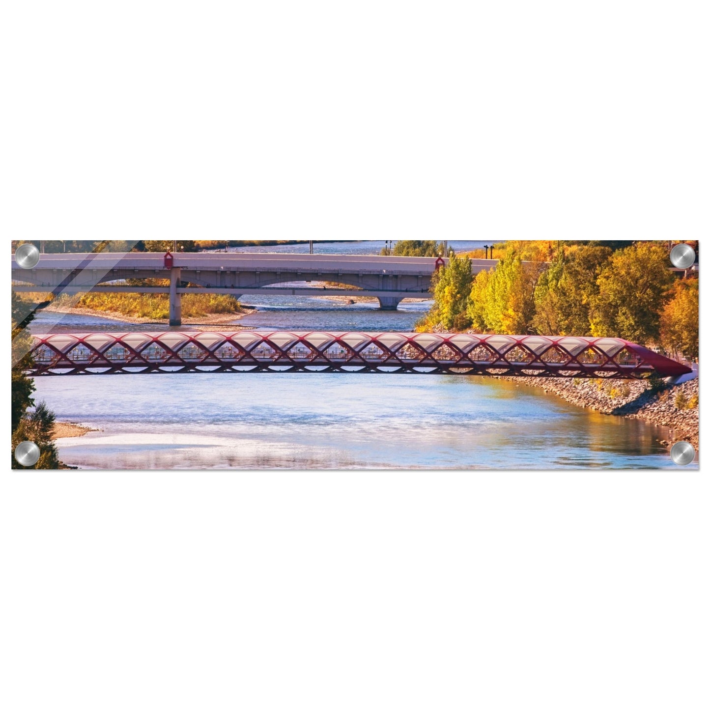 Acrylic Print - Peace Bridge McHugh Bluff Fall
