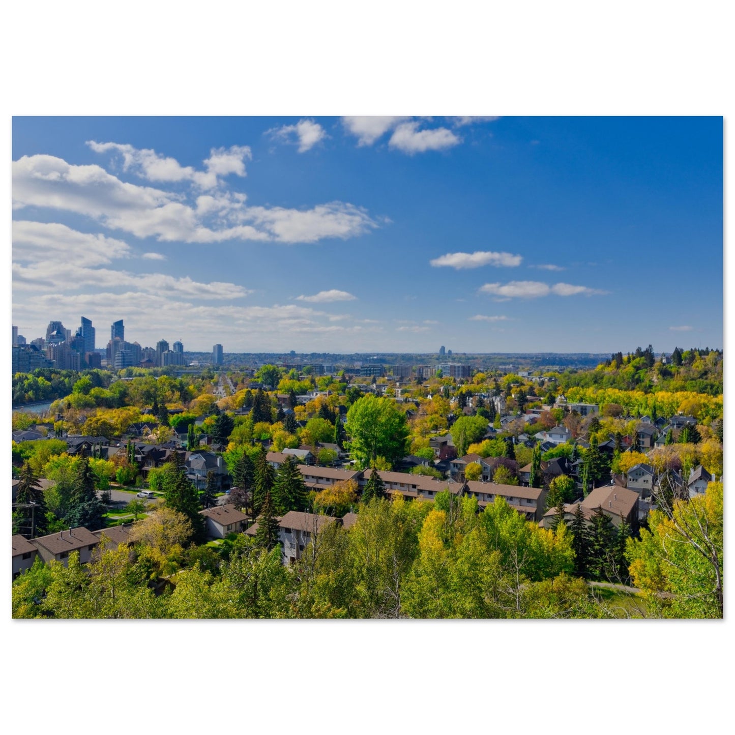 Premium Semi-Glossy Poster Print - McHugh Bluff Fall