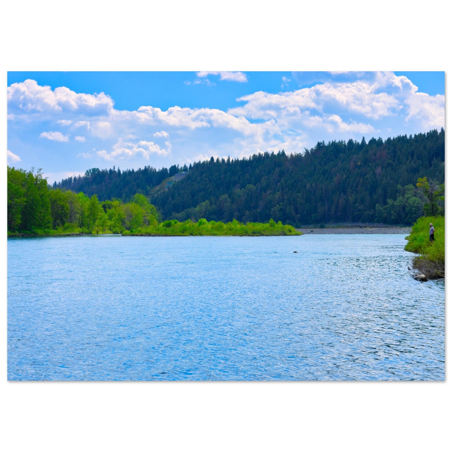 e8d2d55f-f175-4084-8183-7097d856d279