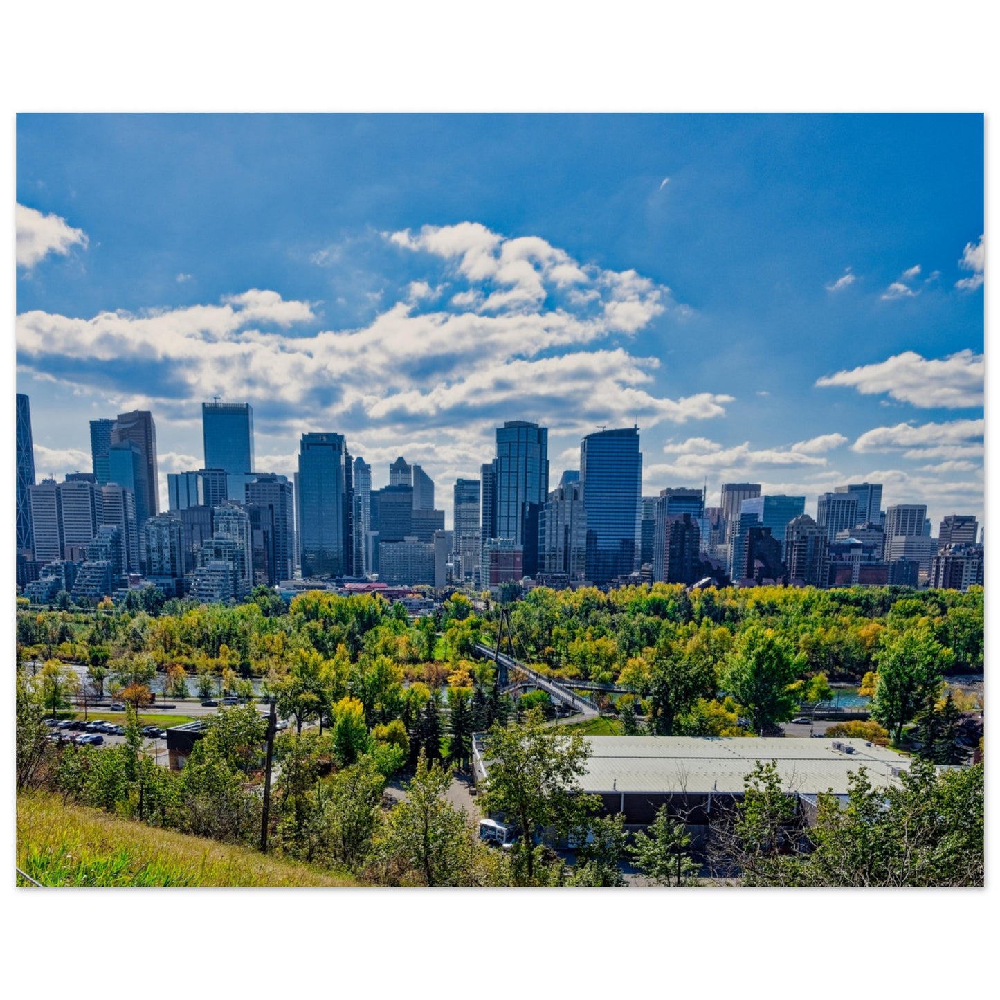Foam Print - Downtown Calgary McHugh Bluff Fall