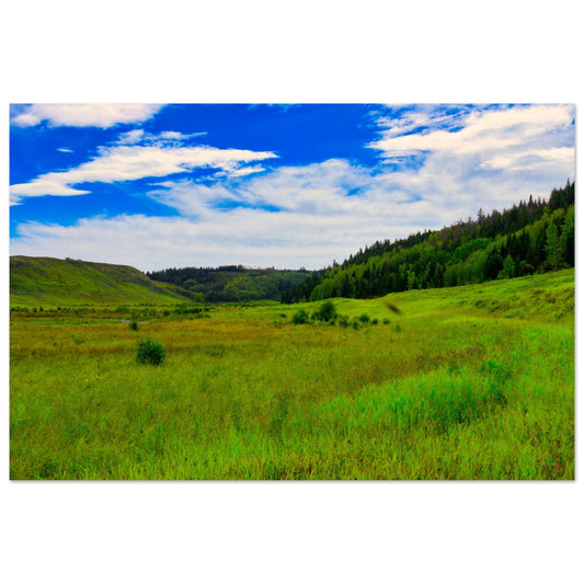 ebd43b54-c132-4566-844d-aaff89de3c1b