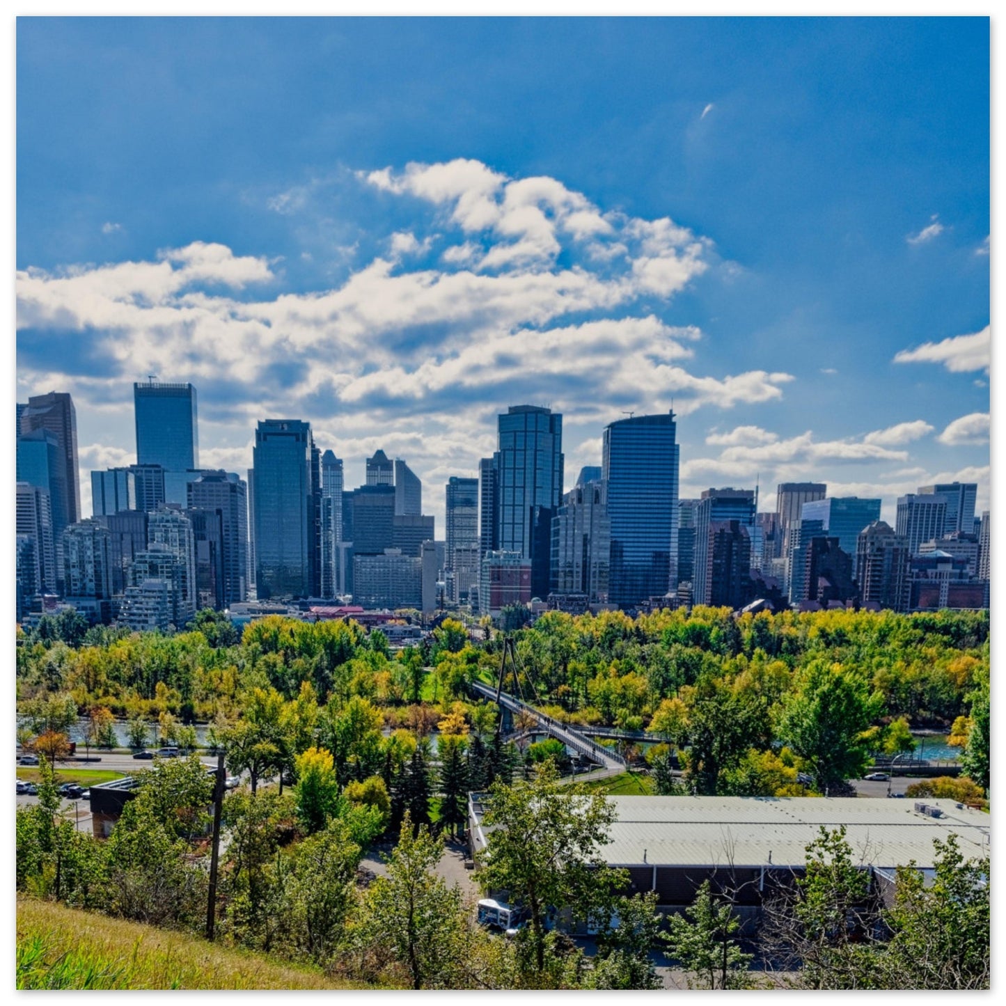 Premium Semi-Glossy Poster Print - Downtown Calgary McHugh Bluff Fall