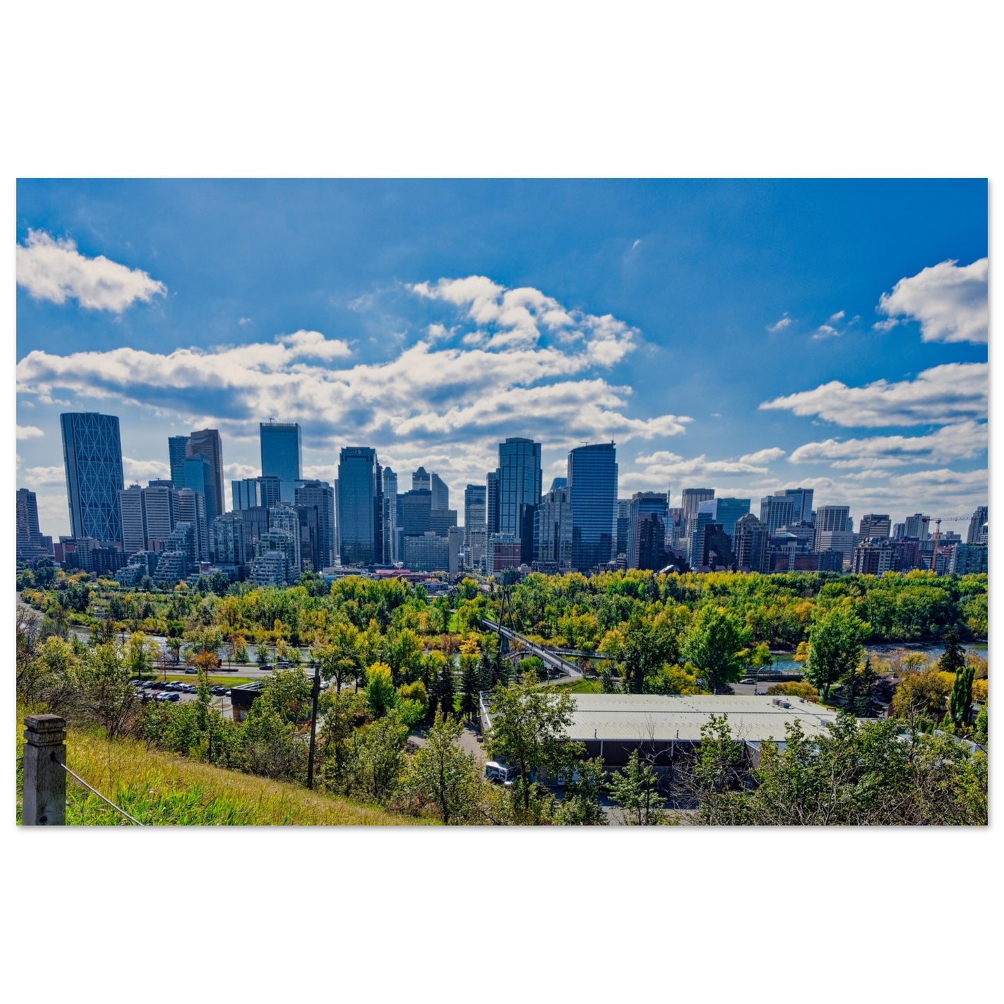 Foam Print - Downtown Calgary McHugh Bluff Fall