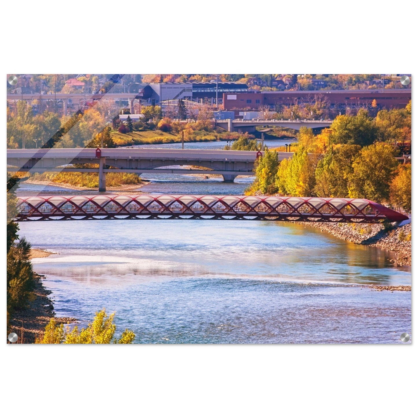Acrylic Print - Peace Bridge McHugh Bluff Fall