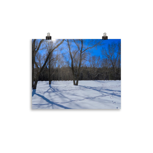 Matte Poster Print - Bowness Park Field Winter