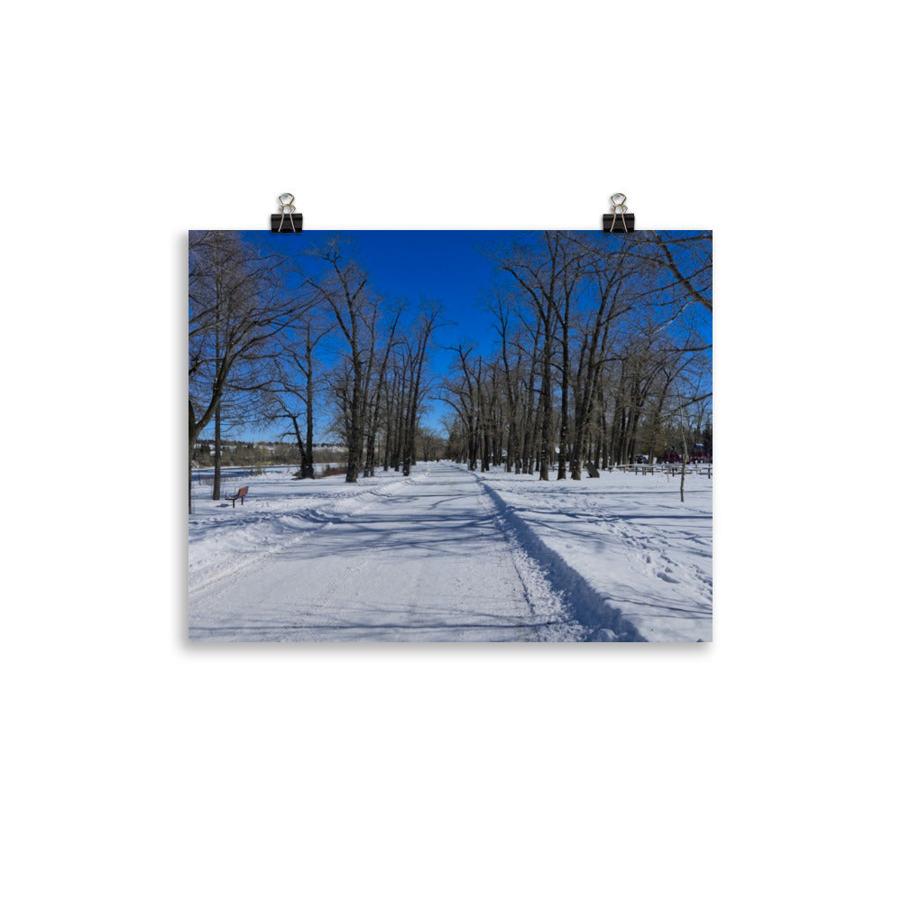 Matte Poster Print - Bowness Park Pathway Winter