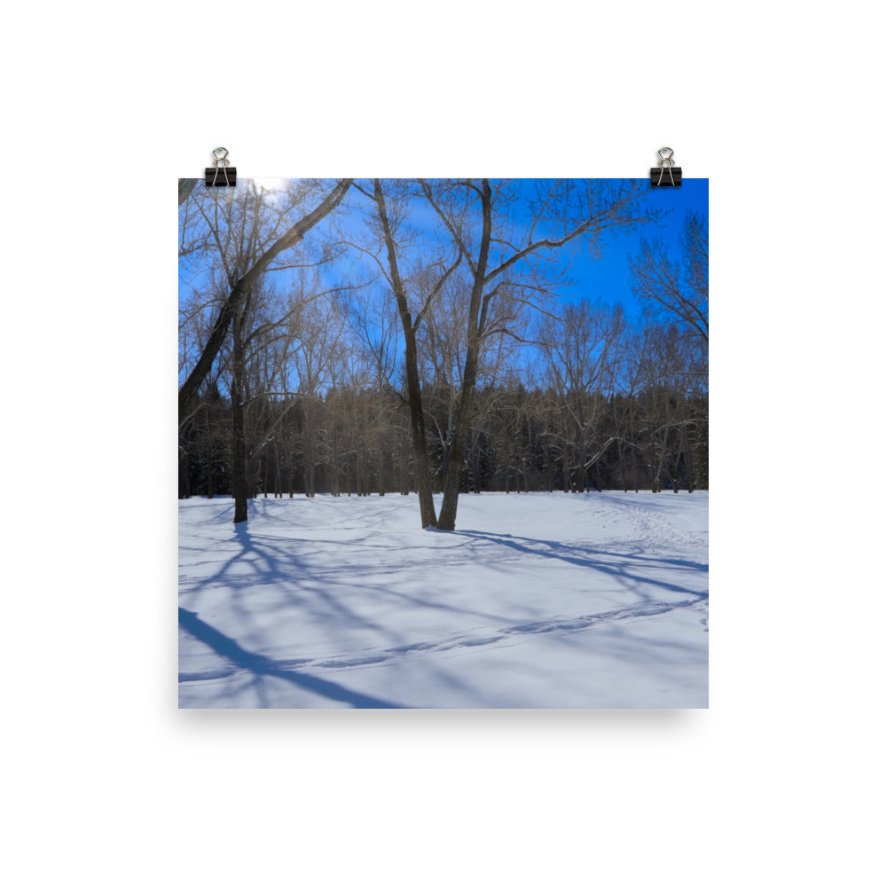 Matte Poster Print - Bowness Park Field Winter