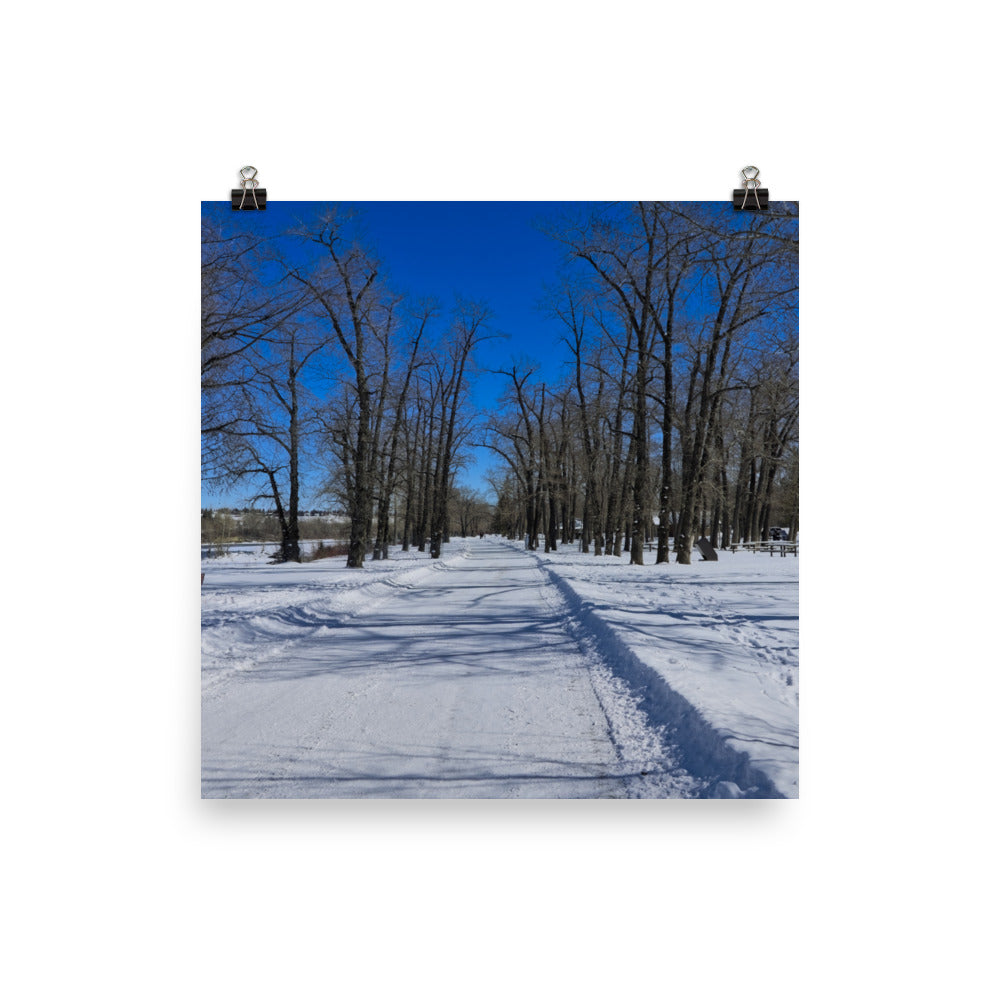 Matte Poster Print - Bowness Park Pathway Winter