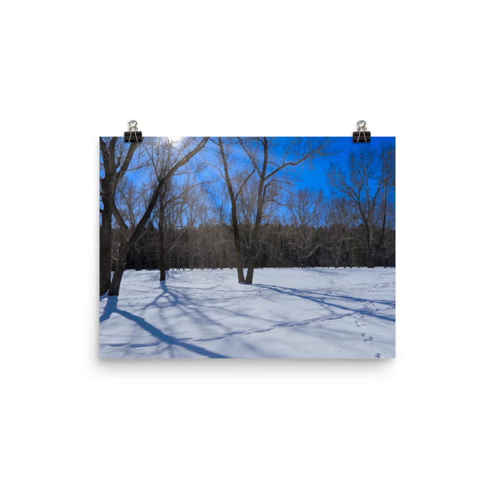 Matte Poster Print - Bowness Park Field Winter