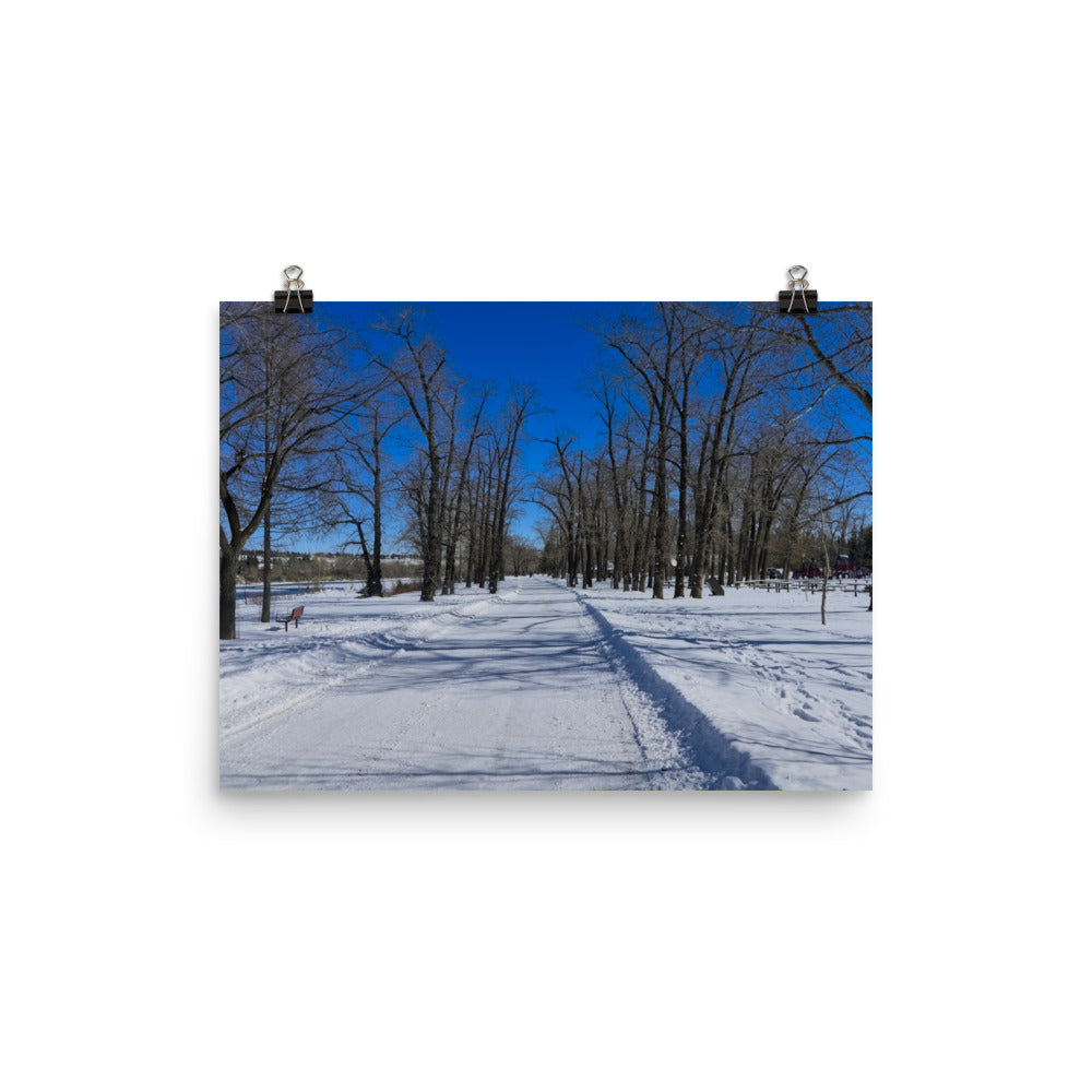 Matte Poster Print - Bowness Park Pathway Winter