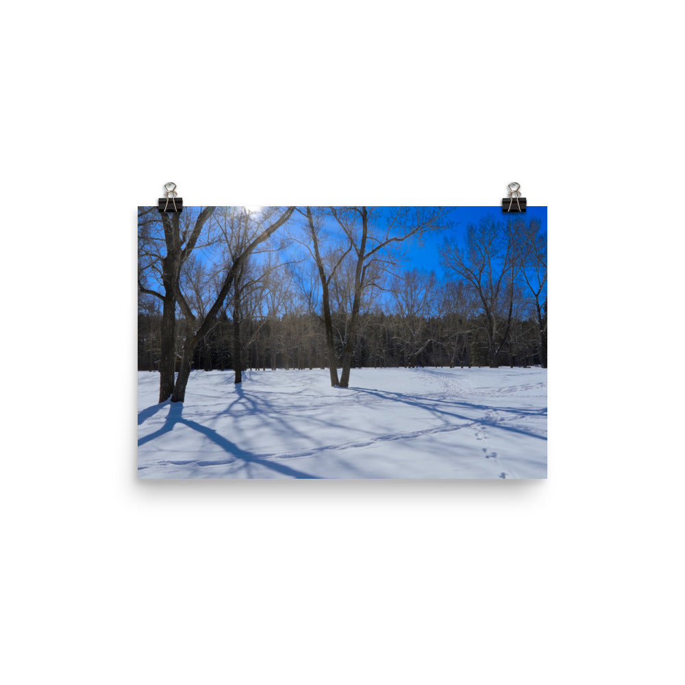 Matte Poster Print - Bowness Park Field Winter