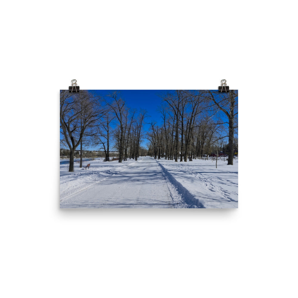 Matte Poster Print - Bowness Park Pathway Winter