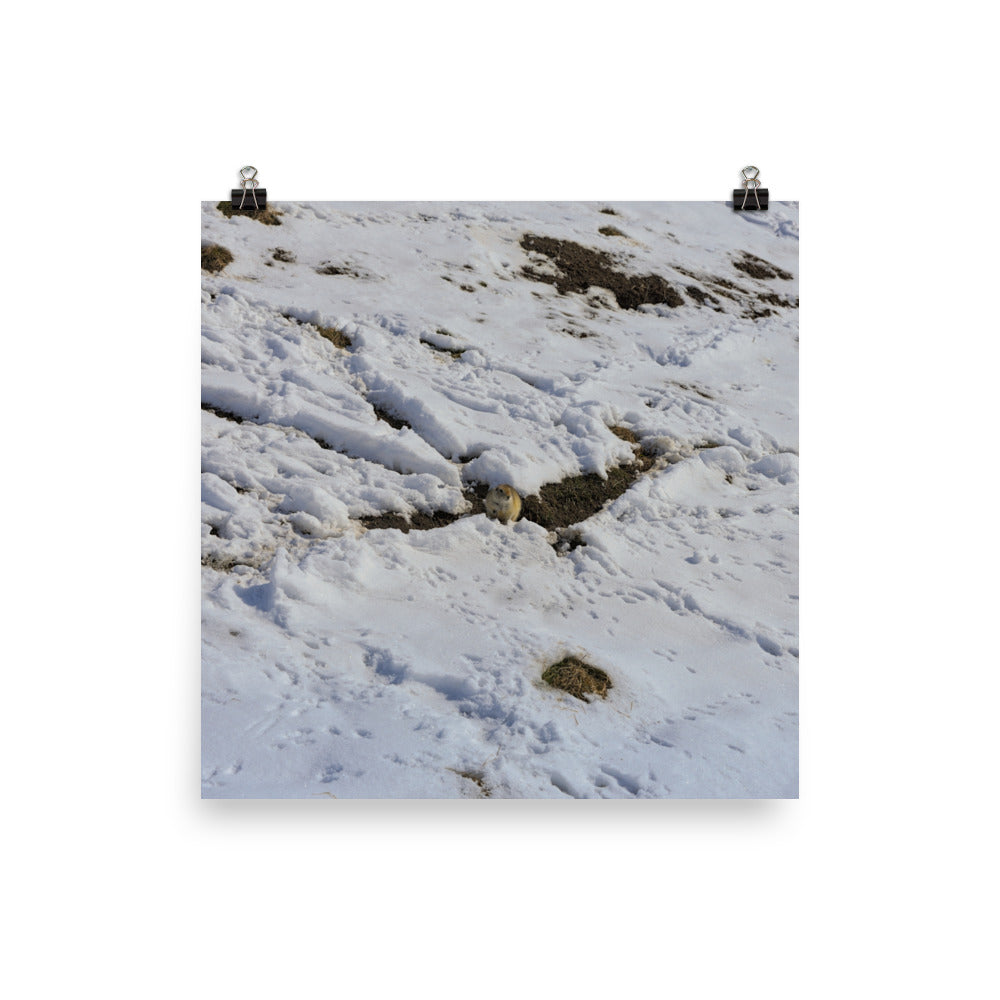 Matte Poster Print - Max Bell Centre Gopher Winter