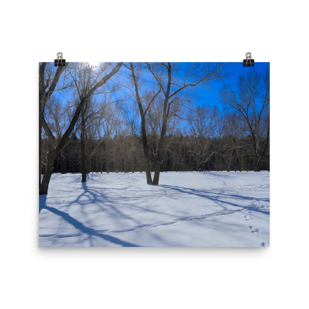 Matte Poster Print - Bowness Park Field Winter