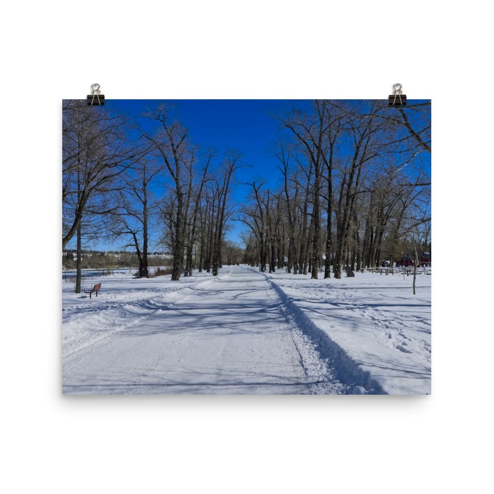 Matte Poster Print - Bowness Park Pathway Winter