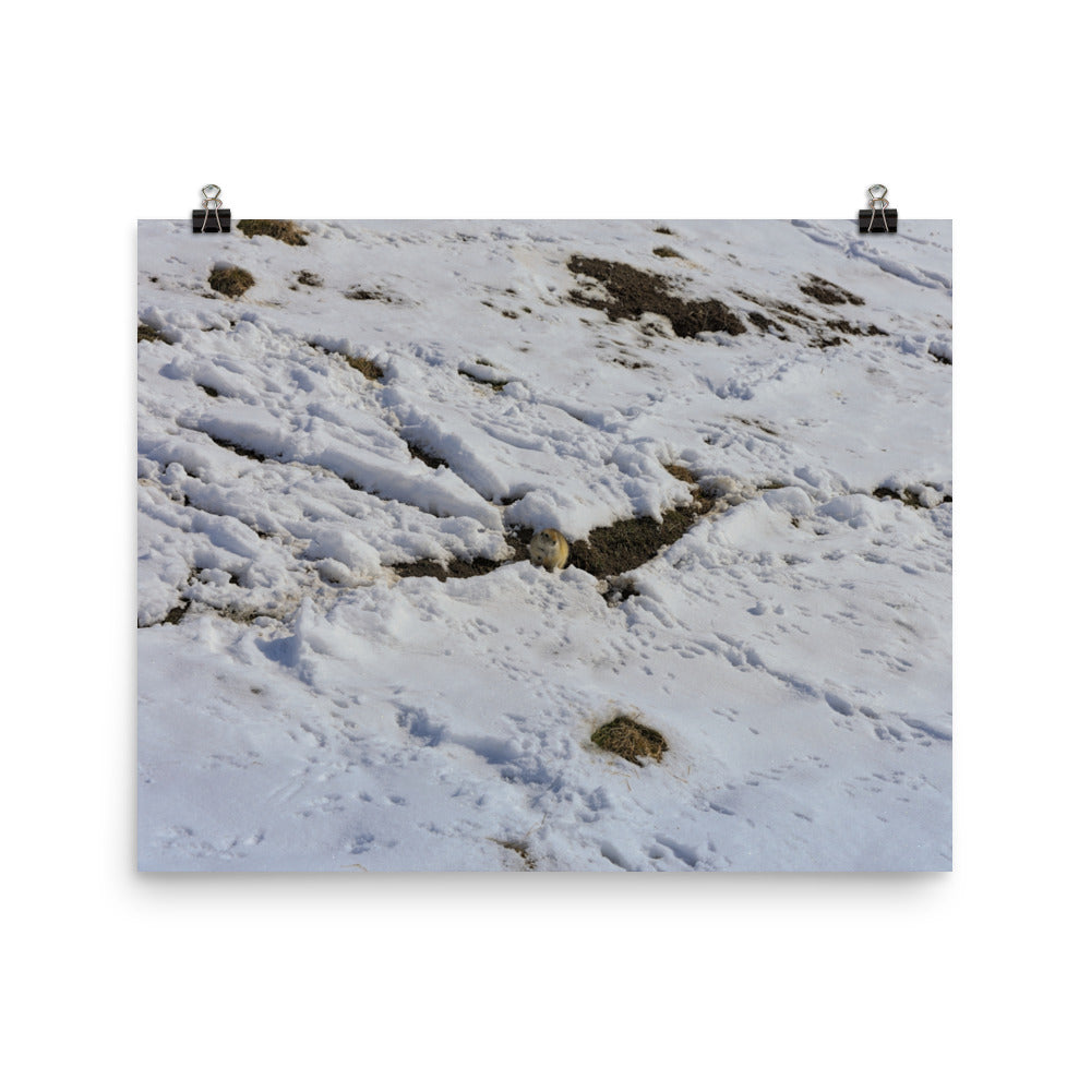Matte Poster Print - Max Bell Centre Gopher Winter