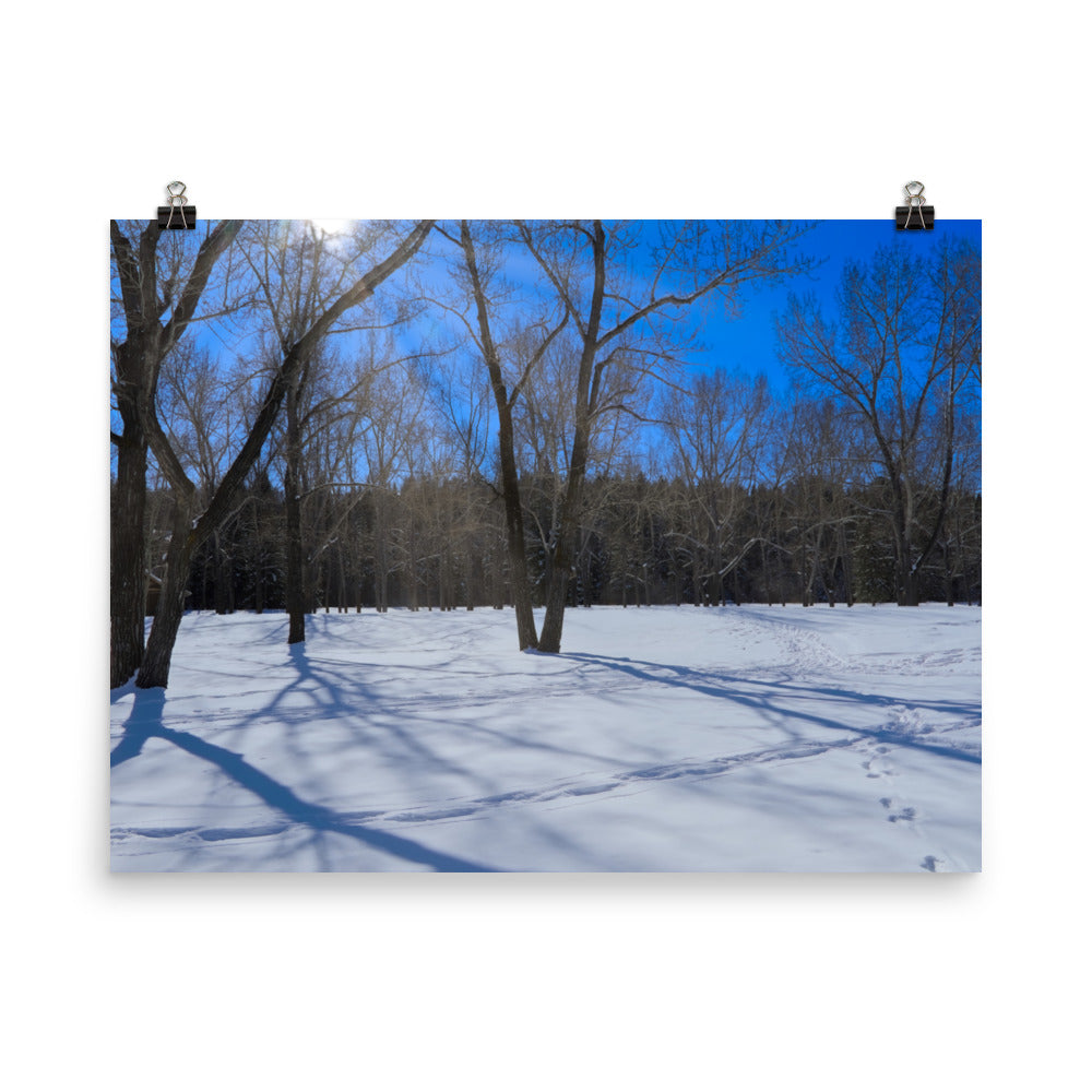 Matte Poster Print - Bowness Park Field Winter