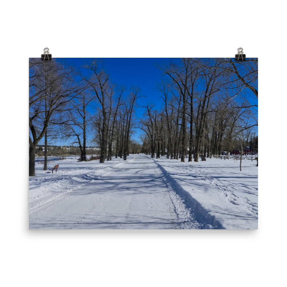 Matte Poster Print - Bowness Park Pathway Winter