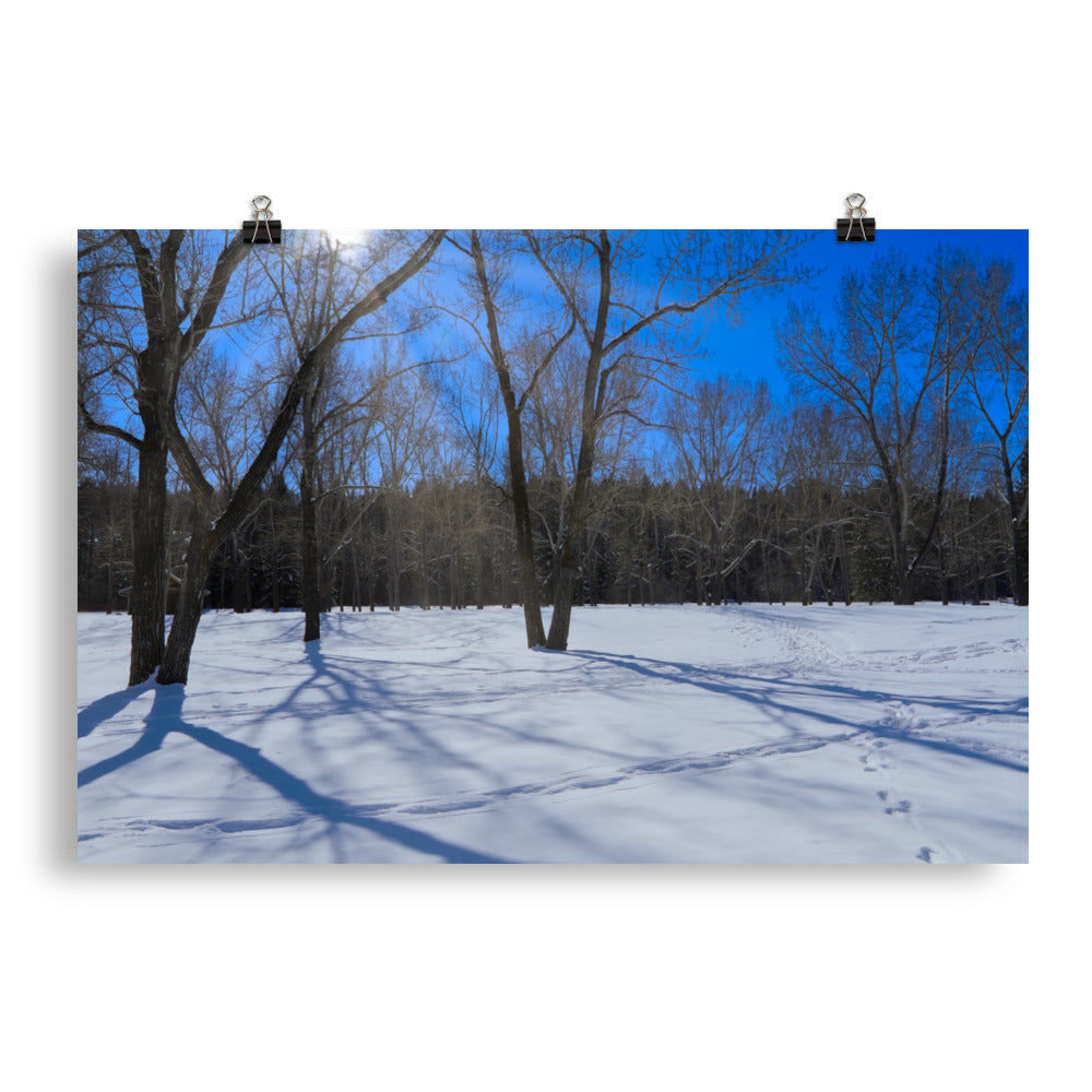 Matte Poster Print - Bowness Park Field Winter