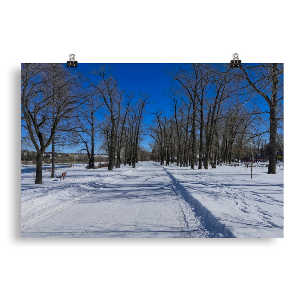 Matte Poster Print - Bowness Park Pathway Winter