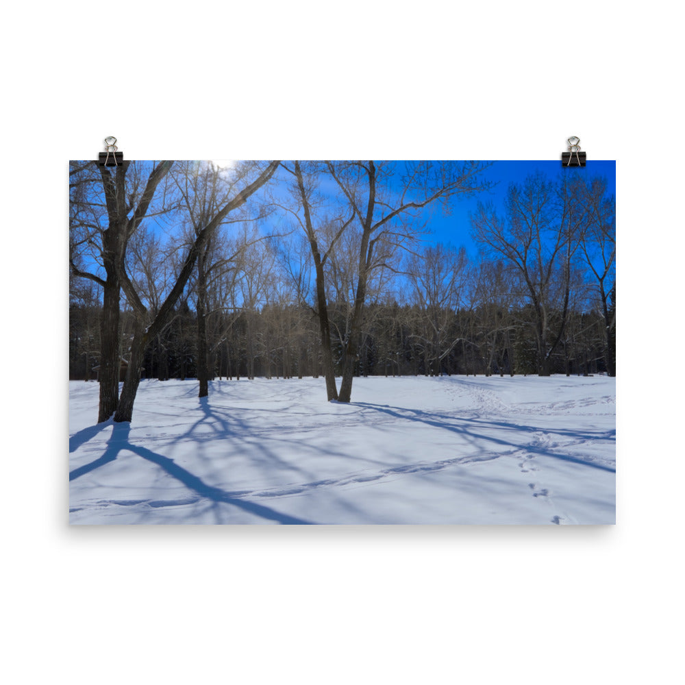 Matte Poster Print - Bowness Park Field Winter