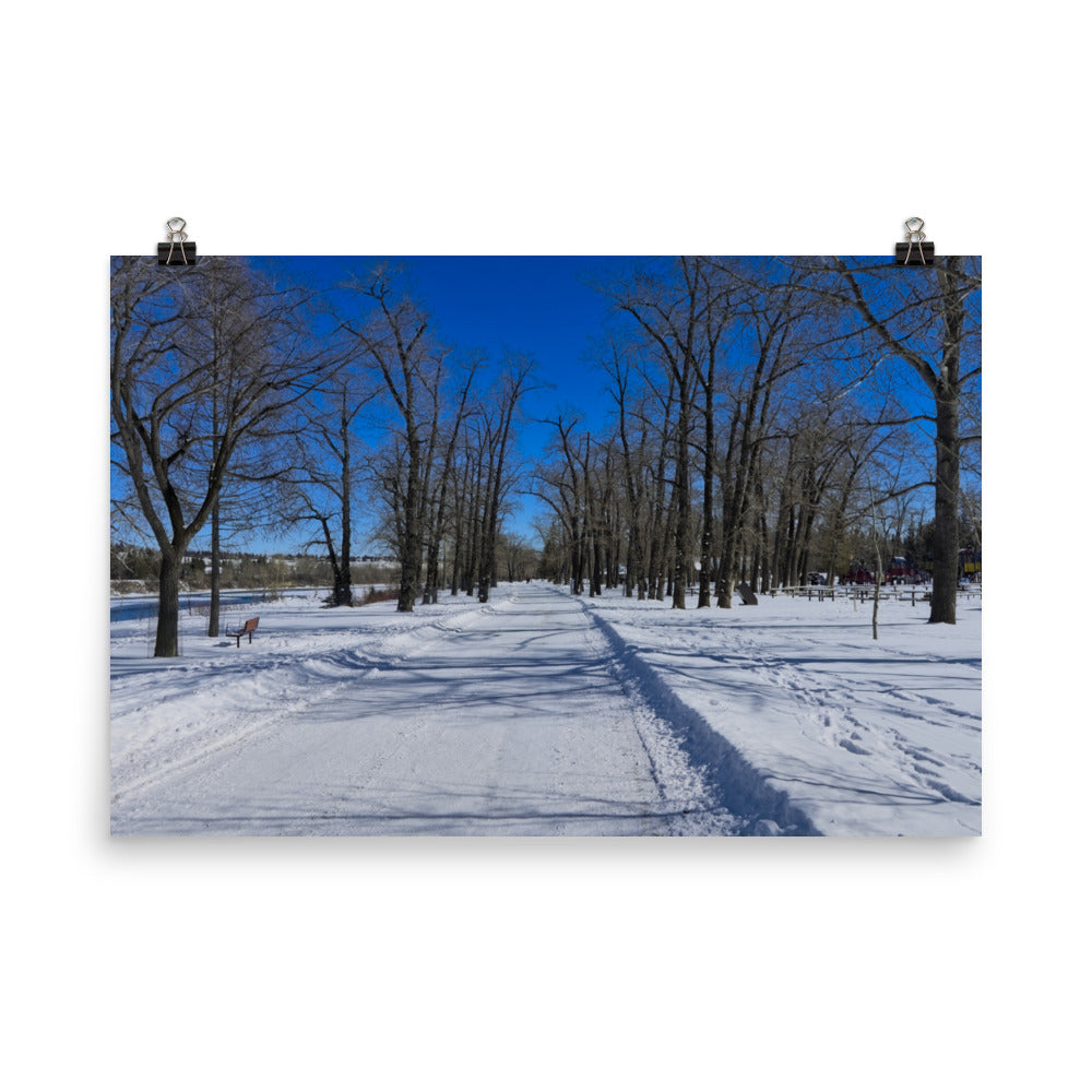 Matte Poster Print - Bowness Park Pathway Winter