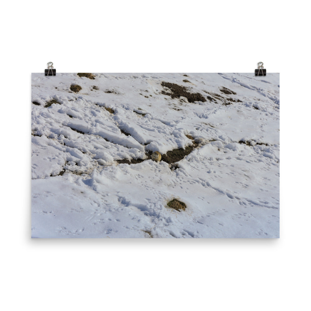 Matte Poster Print - Max Bell Centre Gopher Winter