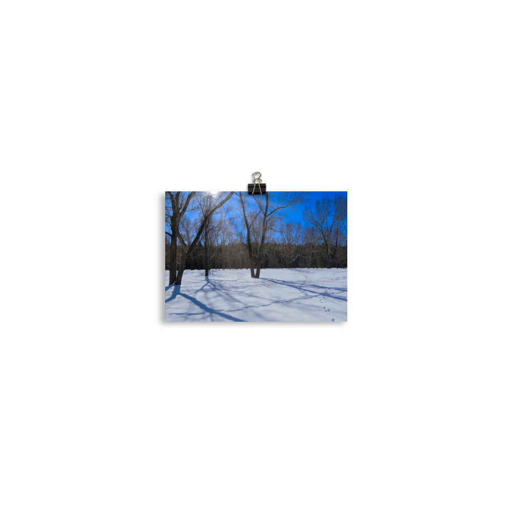 Matte Poster Print - Bowness Park Field Winter