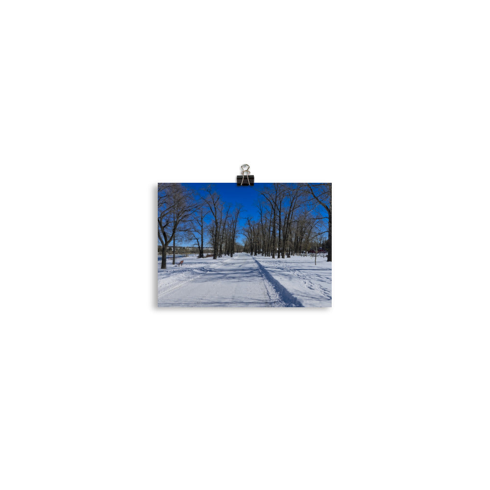 Matte Poster Print - Bowness Park Pathway Winter