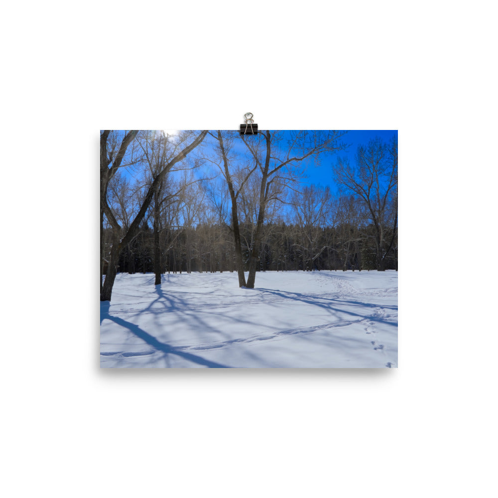 Matte Poster Print - Bowness Park Field Winter