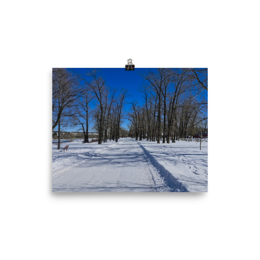 Matte Poster Print - Bowness Park Pathway Winter