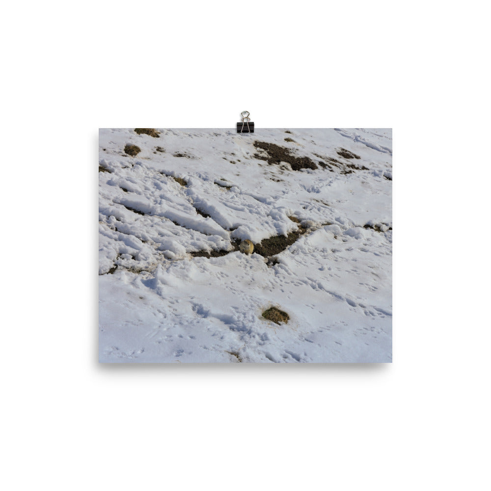 Matte Poster Print - Max Bell Centre Gopher Winter