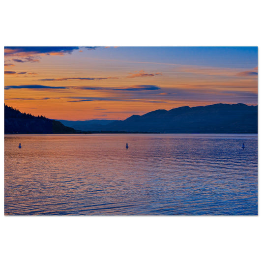 f10eda91-b3cd-4895-a3ec-c7c8555efafb