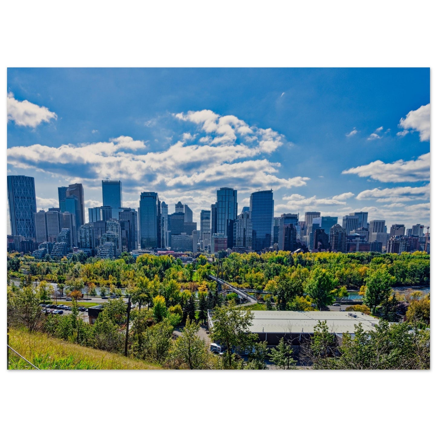 Premium Semi-Glossy Poster Print - Downtown Calgary McHugh Bluff Fall