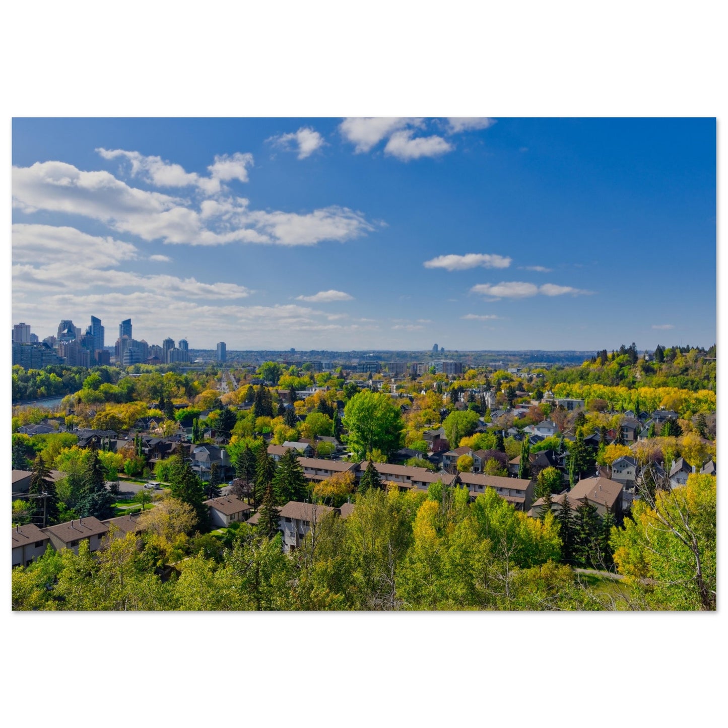 Premium Semi-Glossy Poster Print - McHugh Bluff Fall