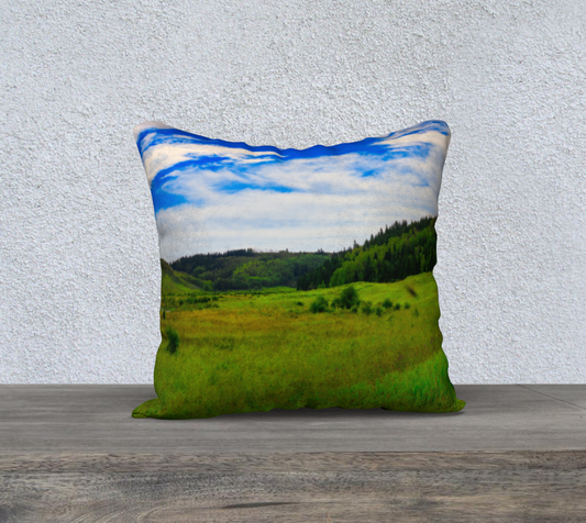 18x18 Pillow Case - Big Hill Springs Park Entrance