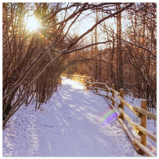 f66e8933-9da5-4c78-9ec8-acb174e5bfd3