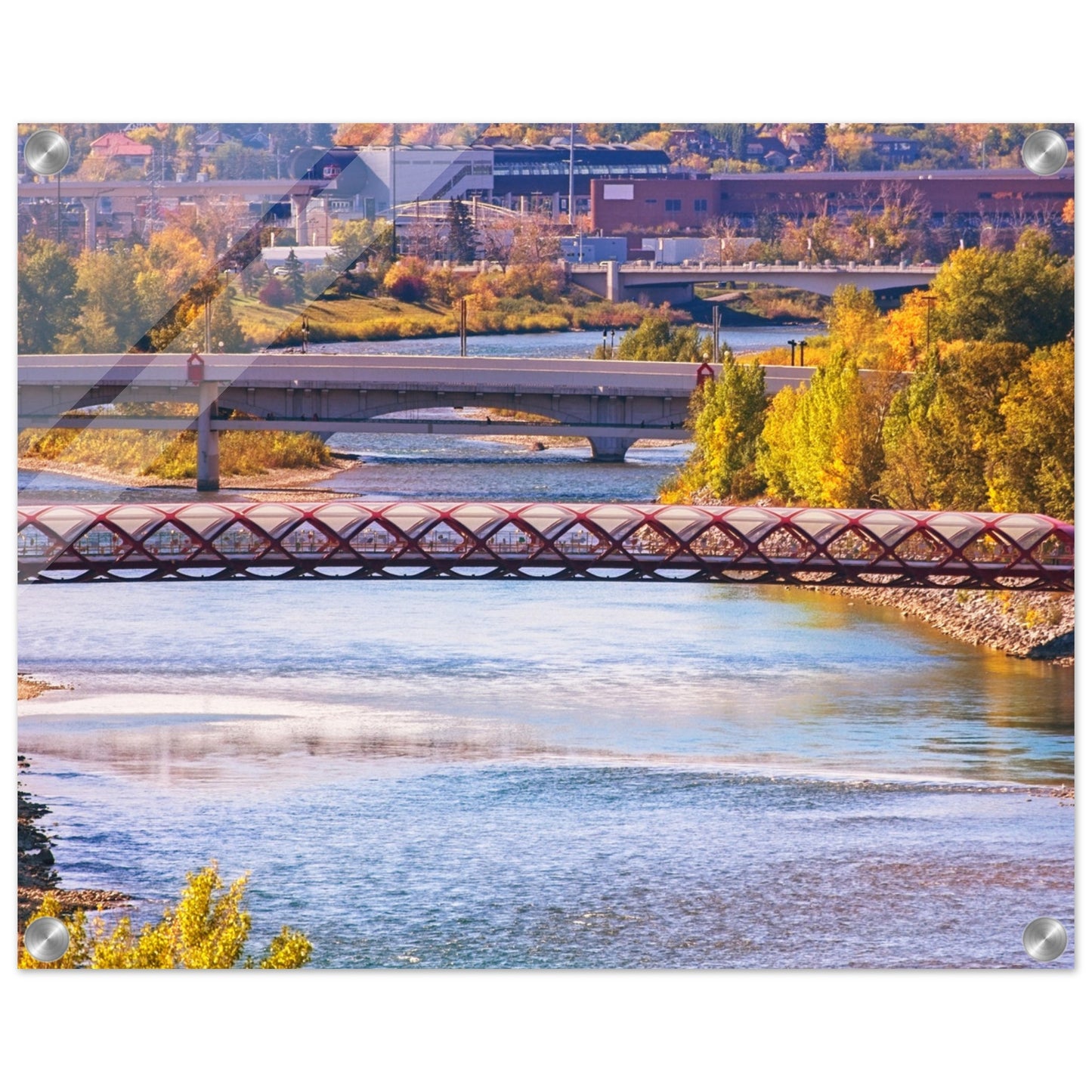 Acrylic Print - Peace Bridge McHugh Bluff Fall